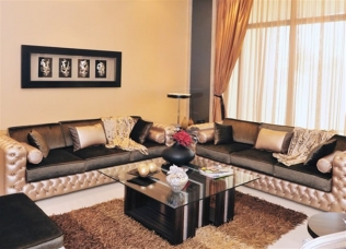 Furniture & Upholstery